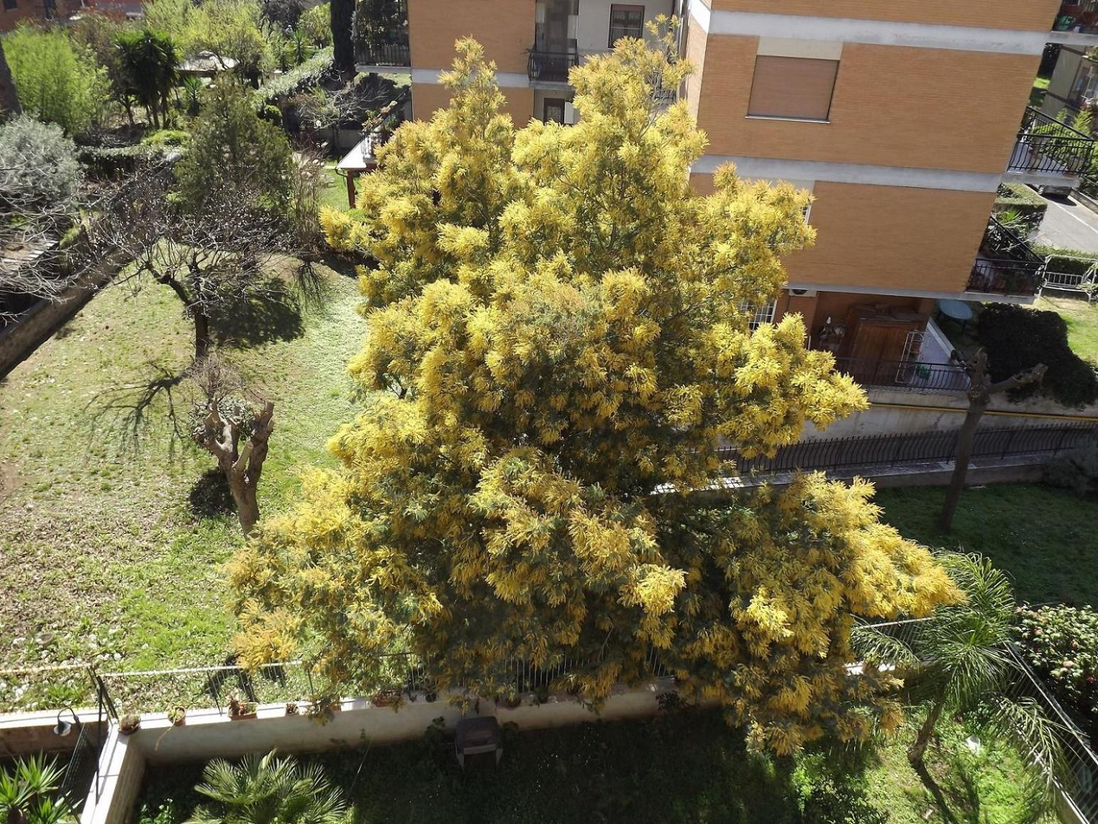 Gilda Vacanze Metro Battistini Daire Roma Dış mekan fotoğraf